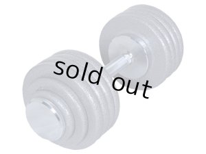 画像1: 54.2kgスクリューロックダンベル