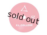 P.L..College スチールプレート25kg2枚
