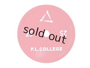 画像1: P.L..College スチールプレート25kg2枚