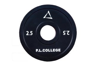 画像1: P.L.College スチールプレート2.5kg2枚
