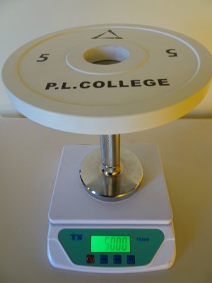 画像3: P.L.College スチールプレート5kg2枚