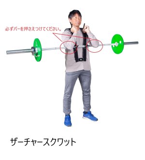 画像5: スクワットハーネス