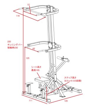 画像2: アシスティッドチンニング/ディップスマシン