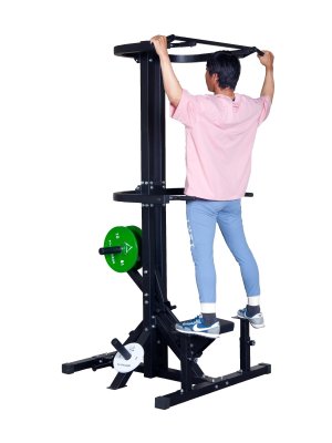 画像9: アシスティッドチンニング/ディップスマシン