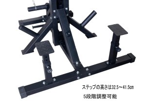 画像4: アシスティッドチンニング/ディップスマシン