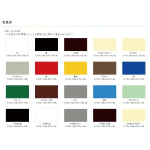 画像: 日本製コンボラックオーダーカラー