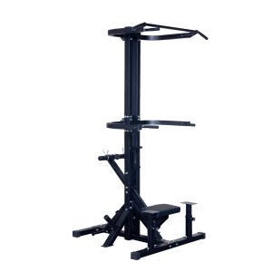 画像: アシスティッドチンニング/ディップスマシン